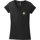 Upland Basketball Softstyle Ladies Fit V-Neck T-Shirt