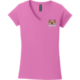 SOMD Lady Sabres Softstyle Ladies Fit V-Neck T-Shirt