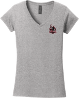 NJ Valkyries Softstyle Ladies Fit V-Neck T-Shirt