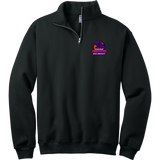 Chicago Phantoms NuBlend 1/4-Zip Cadet Collar Sweatshirt