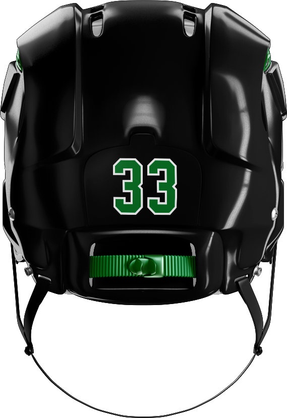 Lansing Spartans Helmet Stickers