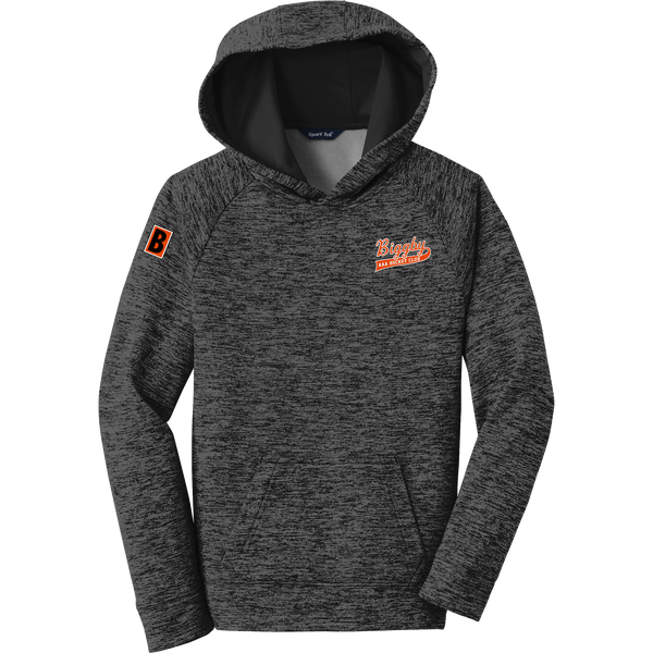 Biggby Coffee AAA Youth PosiCharge Electric Heather Fleece Hooded Pullover